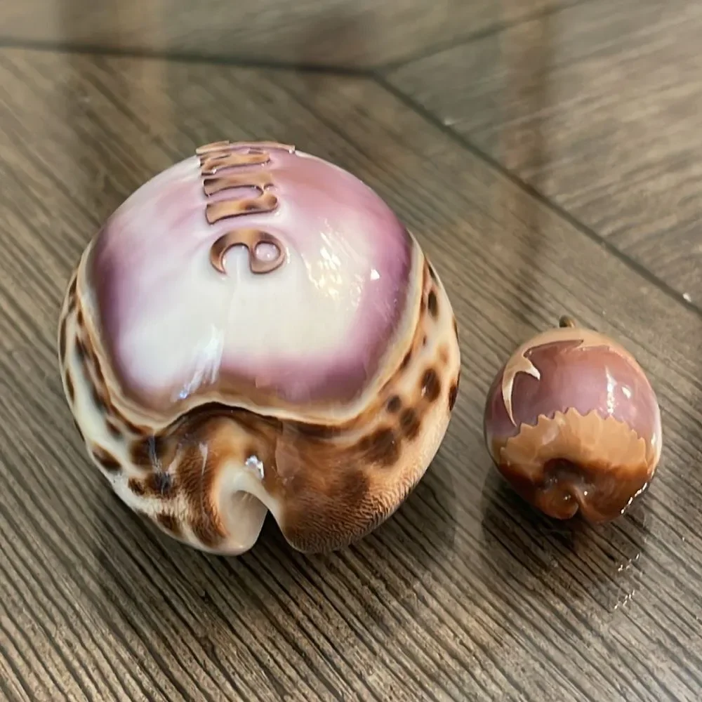 Vintage Engraved Tiger Cowrie Shell With “Jane” & Dolphin Pendant